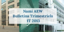 Nami AEW, 1t 2013