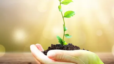 SCPI ISR : comprendre et investir en 2026