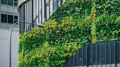 La SCPI PFO2 : entre croissance et stabilité