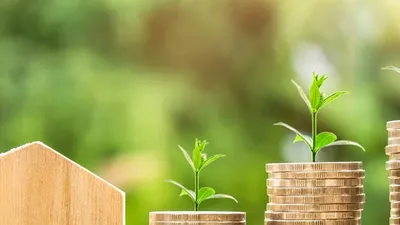Tout ce qu’il faut savoir sur les revenus des SCPI