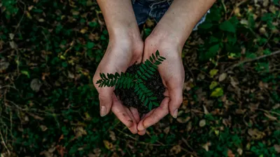 Décret tertiaire : quel impact sur vos SCPI ? Partie 1