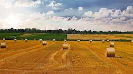SC Terres Invest acquiert 75 ha de terres agricoles en Hauts-de-France