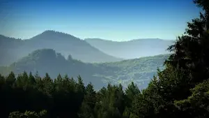 Nouvelle forêt pour le GFI CoeurForest en Corrèze
