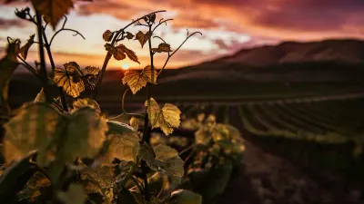 Le fonds viticole France Valley Bourgogne Excellence I voit le jour
