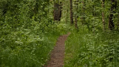 GFI EPIFORÊT 1 : Performance et revalorisation au S1 2025