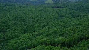 GFI Vatel 2 : Une deuxième acquisition avec la forêt de Charmelle