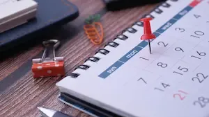 SCPI Immo Placement : Hausse de la distribution confirmée au 4T 2024