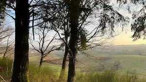 GFI CoeurForest : Nouvelle acquisition dans le Morvan