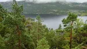 La Norvège instaure des marchés publics sans déforestation