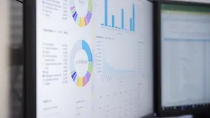 OPCI Silver Génération : Résilience et perspectives 2025 ·