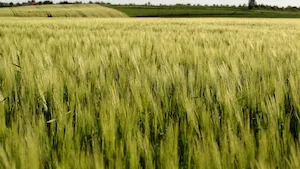 SC Terres Invest : Dynamique foncière au T2 2025