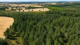 Le GFI Vatel II acquiert une forêt de 109 hectares dans l’Allier