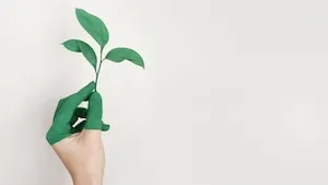 AEW Patrimoine : Label ISR renouvelé pour trois SCPI