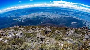 Analyse climatique : Enjeu majeur pour l'immobilier selon AEW