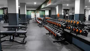 La SCPI Mistral Sélection investit dans trois salles de sport en Espagne