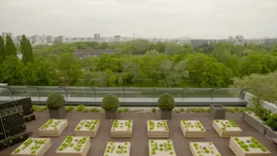 BNP Paribas Real Estate installe une ferme urbaine sur le toit de son siège social
