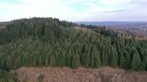 GFI EPIFORÊT 1 : le point après les incendies de l’été 2026