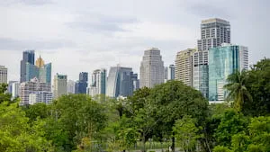 Distribution d'une plus-value pour la SCPI ESG Pierre Capitale