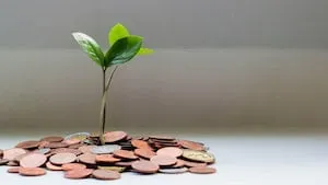 Fonds euros en 2025 : rendement, risques et usages à connaître