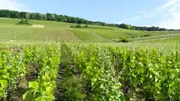 France Valley étend son implantation dans la Vallée de la Marne