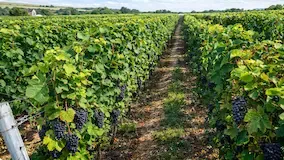 Un terroir d’exception rejoint le portefeuille France Valley