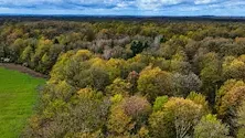 France Valley acquiert plus de 1 500 hectares forestiers en Moselle