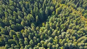 Incendies de forêt : France Valley fait le point sur le risque en 2026