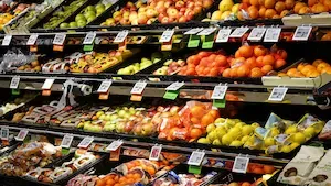 SCPI GMA Essentialis : Cap sur l’essentiel au 4T 2024