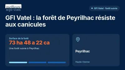 GFI Vatel : la forêt de Peyrilhac face aux canicules de l'été 2026