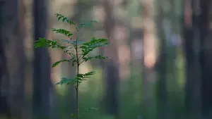 Inter Gestion REIM et la préservation des ressources naturelles