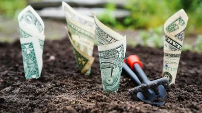 Le SCPI, l'investissement locatif sans les soucis de gestion