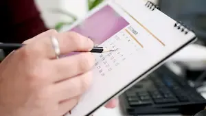 Pierrevenus : Rendement en hausse et résilience affirmée au 4T 2024