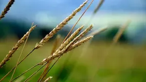Nouvelle acquisition pour la SC Terres Invest en ĂŽle-de-France