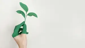 SCPI PFO : Une dynamique d'investissement durable et performante
