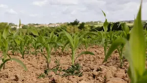 SC Terres Invest : investir au cœur du foncier agricole français