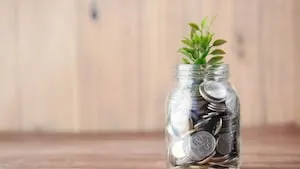 Frugalisme : comment adopter un mode de vie plus simple en 2026 ?
