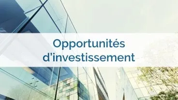 SCPI de rendement : des opportunités en usufruit !