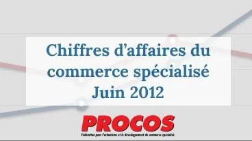 Chiffre d'affaires du commerce spécialisé : bilan 2012