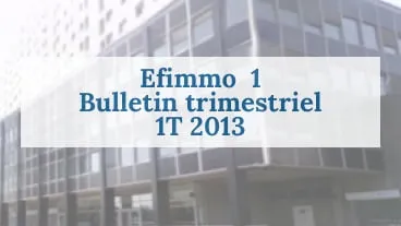 Efimmo 1 : BT 1T 2013