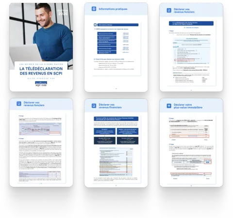 Pages du guide de la télédéclaration des revenus en SCPI