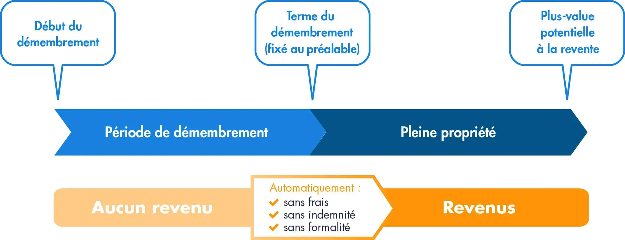 Frise du démembrement pour le nu-propriétaire : aucun revenu pendant la période de démembrement, puis pleine propriété automatique et revenus