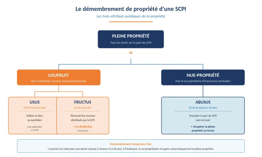 Schéma du démembrement de propriété d'une SCPI : pleine propriété = usufruit + nue-propriété