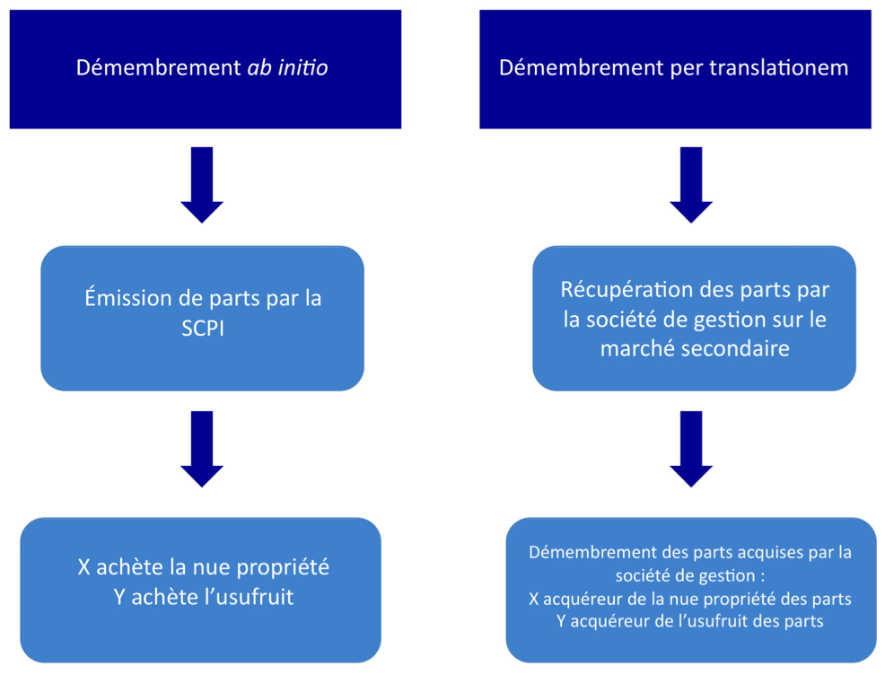 image Démembrement SCPI\: per translationem ou ab initio