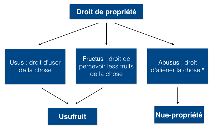 image Avantages fiscaux \: donnez en nue\-propriété