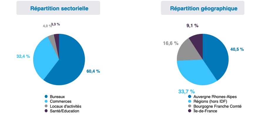 Immo-Placement-:-repartition-du-patrimoine-immobilier