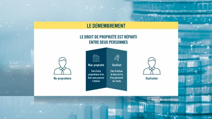 le-démembrement-temporaire-en-scpi