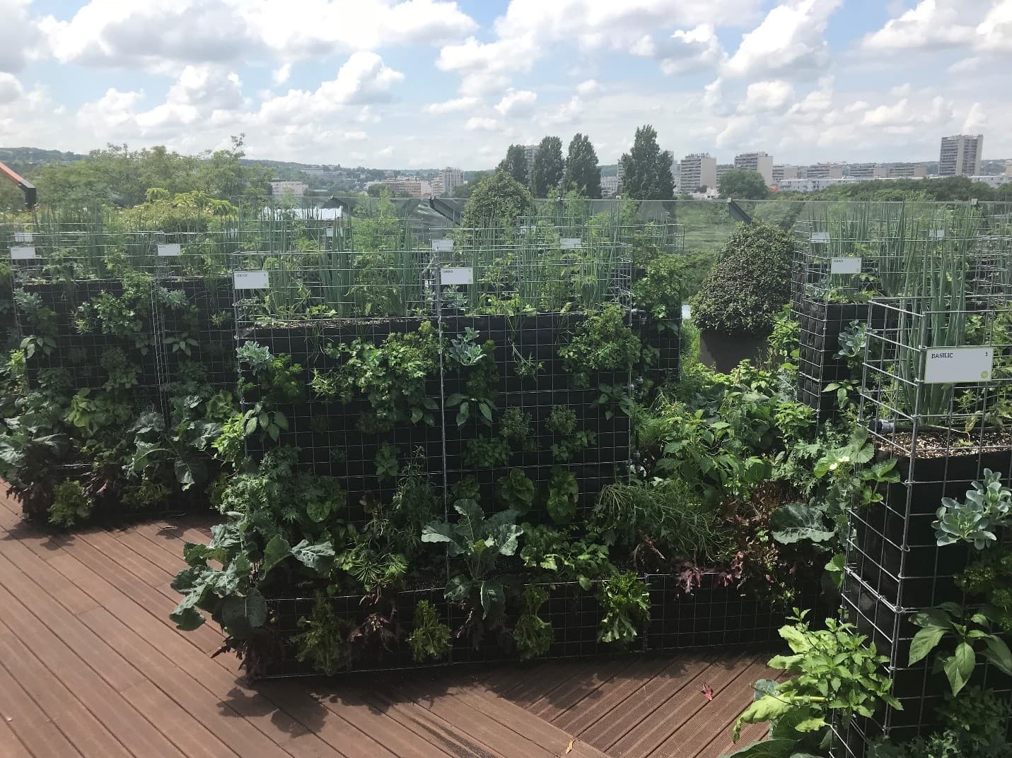 image BNP Paribas Real Estate installe une ferme urbaine sur le toit de son siège social