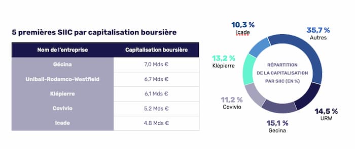 5-premières-siic-par-capitalisation-boursière