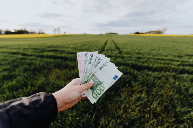 les-meilleurs-investissements-pour-2025-guide-complet