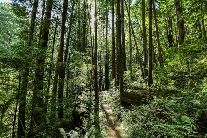 cloture-du-gfi-france-valley-forets-xv-et-ouverture-du-gfi-forets-xx